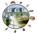 Bee Pest Control Adelaide logo